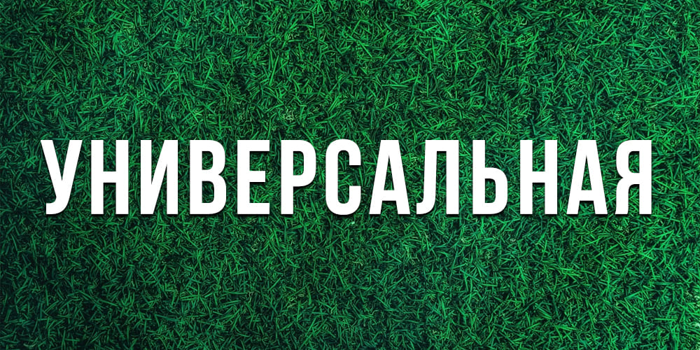 Лучшие неприхотливые газоны