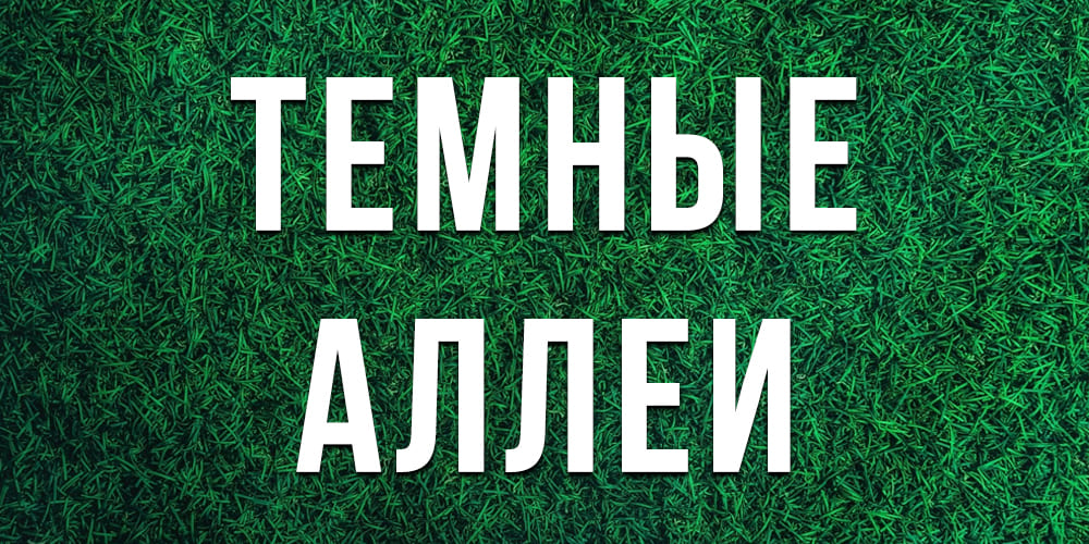 Лучшие теневые газоны