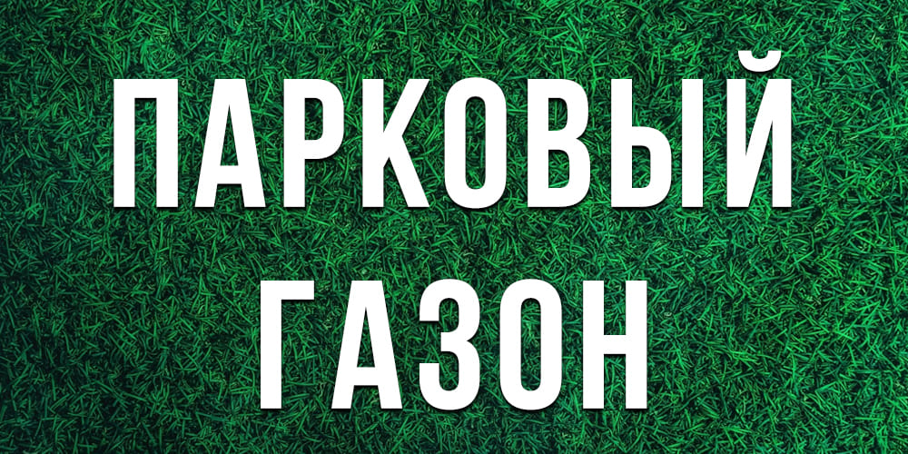 Лучшие теневые газоны