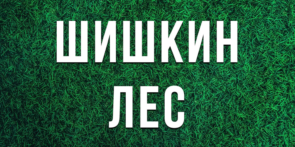 Лучшие теневые газоны