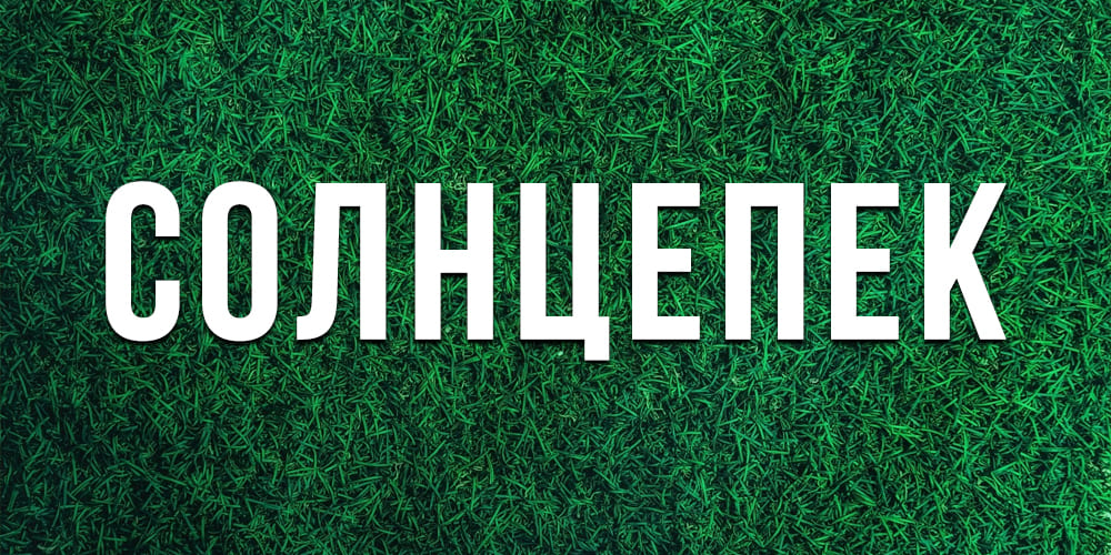 Лучшие южные газоны
